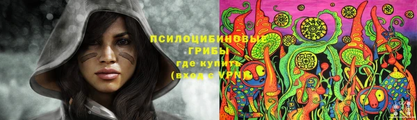 гидра Абаза