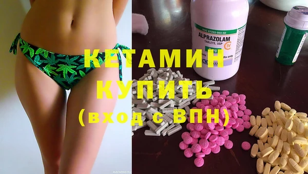 гидра Абаза