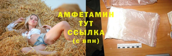 гидра Абаза