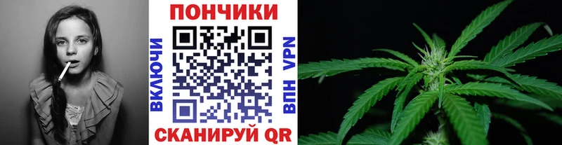 Шишки марихуана семена  Ефремов 